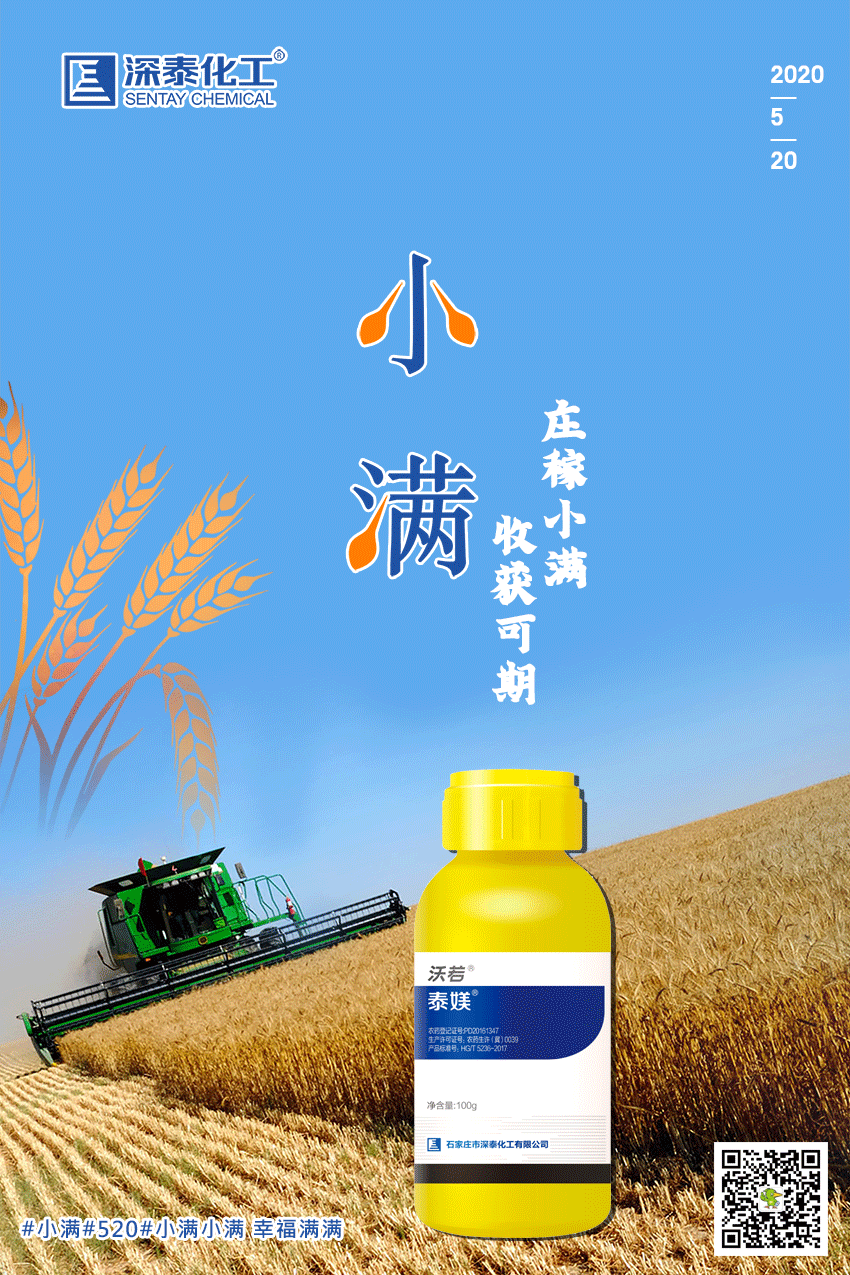 小满5.png